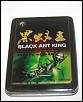 Black Ant King 74.jpg‎