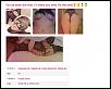 Click image for larger view